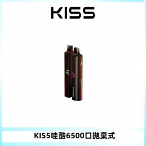 KIS5WAGOO哇酷6500口拋棄式 | 自由混搭雙口味 | 雙芯組合